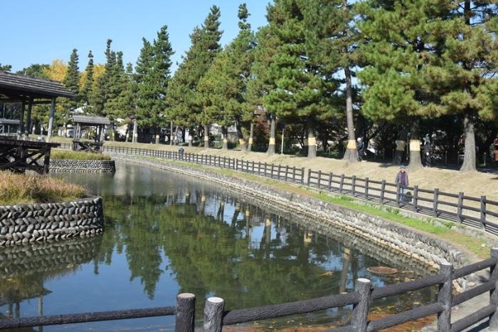 画像　車河戸付近でのこも巻風景